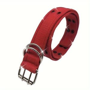 Fashion Women's Belt; Adjustable Multi-Hole Double-Pin Buckle; Ideal for Casual Outdoor Wear; Perfect Gift